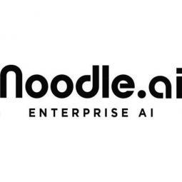Noodle Analytics Logo